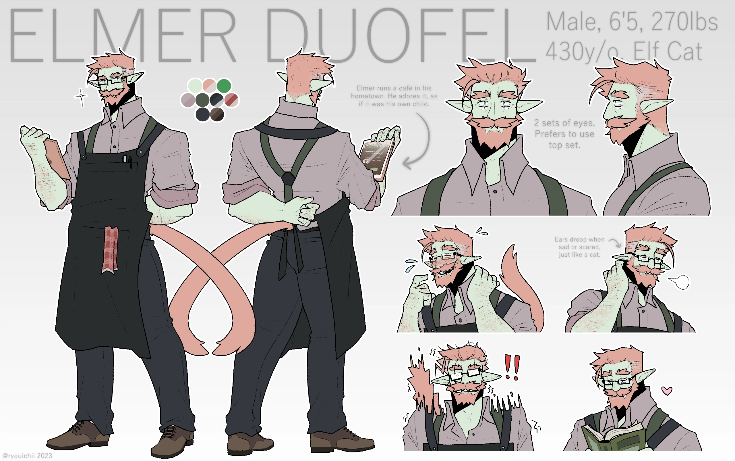 Elmer Reference (Example)